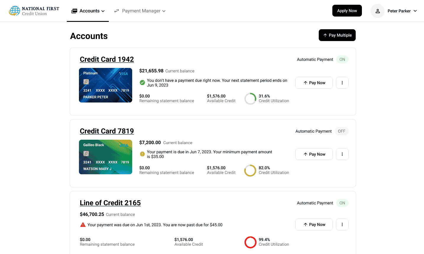 Screenshot of the LoanPro customer portal Screenshot of the LoanPro customer portal